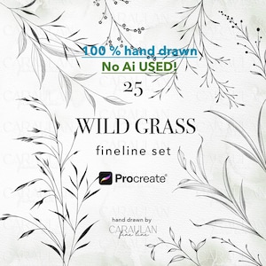 May include: A digital art set featuring hand-drawn illustrations of wild grass in a fineline style. The image includes the text "100% hand drawn, No AI USED!" and the number "25". The Procreate logo is also visible.