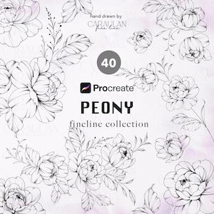 Floral Procreate Stamps: Fine Line Peony Tattoo Brush Set (40 Stamps) (Digital Download)
