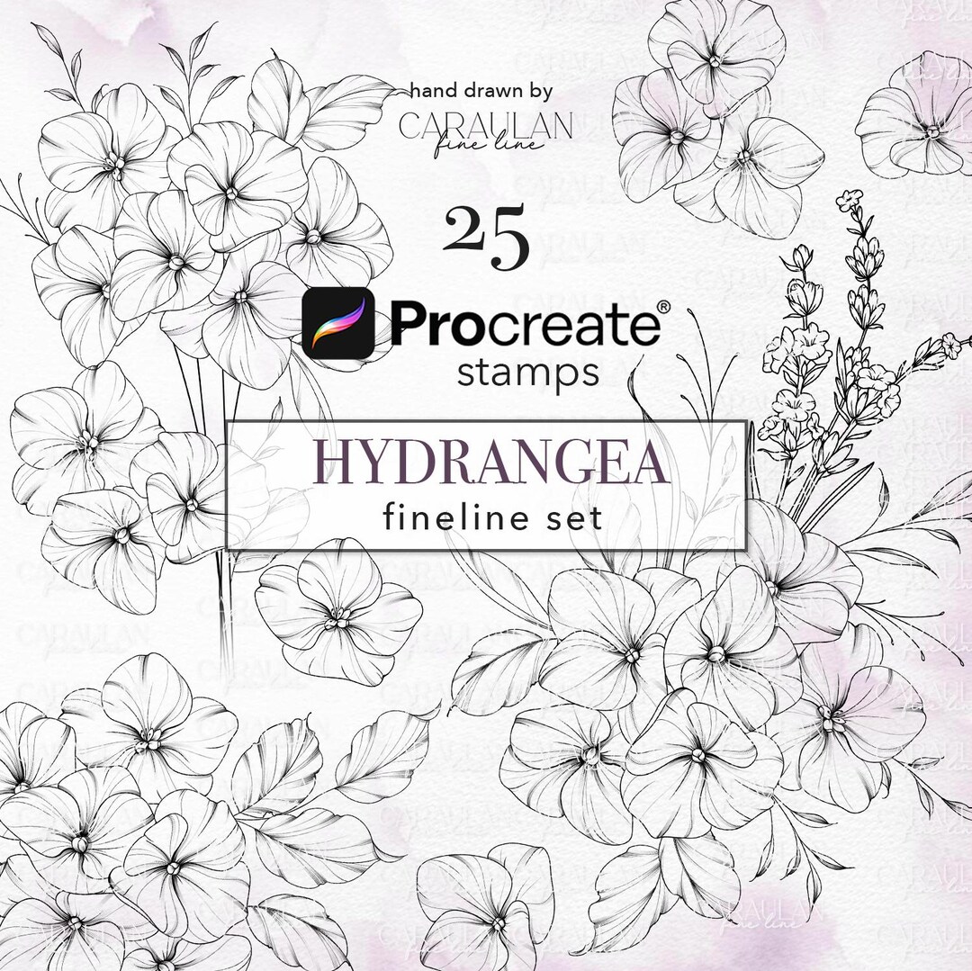 Floral Procreate Stamps: Fine Line Hydrangea Tattoo Brush Set (25 ...