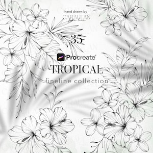 May include: Black and white floral illustration featuring hibiscus and other tropical flowers. The image includes the text "hand drawn by CARAULAN fine line", "35", "Procreate", and "TROPICAL fineline collection".