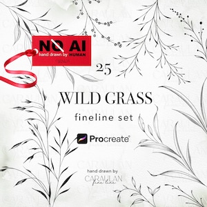 Op de afbeelding: Een digitale set van 25 zwart-wit illustraties van wild gras met fijne lijnen. De afbeelding bevat een rood label met de tekst NO AI hand drawn by HUMAN, de tekst 25 WILD GRASS fineline set, een Procreate-logo en de tekst hand drawn by CARAULAN.