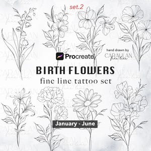 Sellos Procreate con flores del mes de nacimiento: Tatuajes de flores de línea fina de enero a junio (Descarga digital) Vol. 2