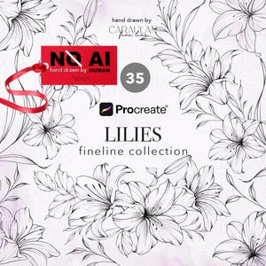 May include: A digital illustration of lilies in a fineline style with black outlines on a white background. Text includes "hand drawn by CARAULAN fine line", "35", "Procreate", "LILIES", "fineline collection", and a red tag stating "NO AI hand drawn by HUMAN".