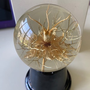 Hafod Grange Paperweight - Etsy