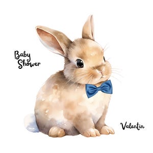 Invitation Baby Shower Garçon à personnaliser – Modèle Canva digital à imprimer ou envoyer – Thème naissance bébé