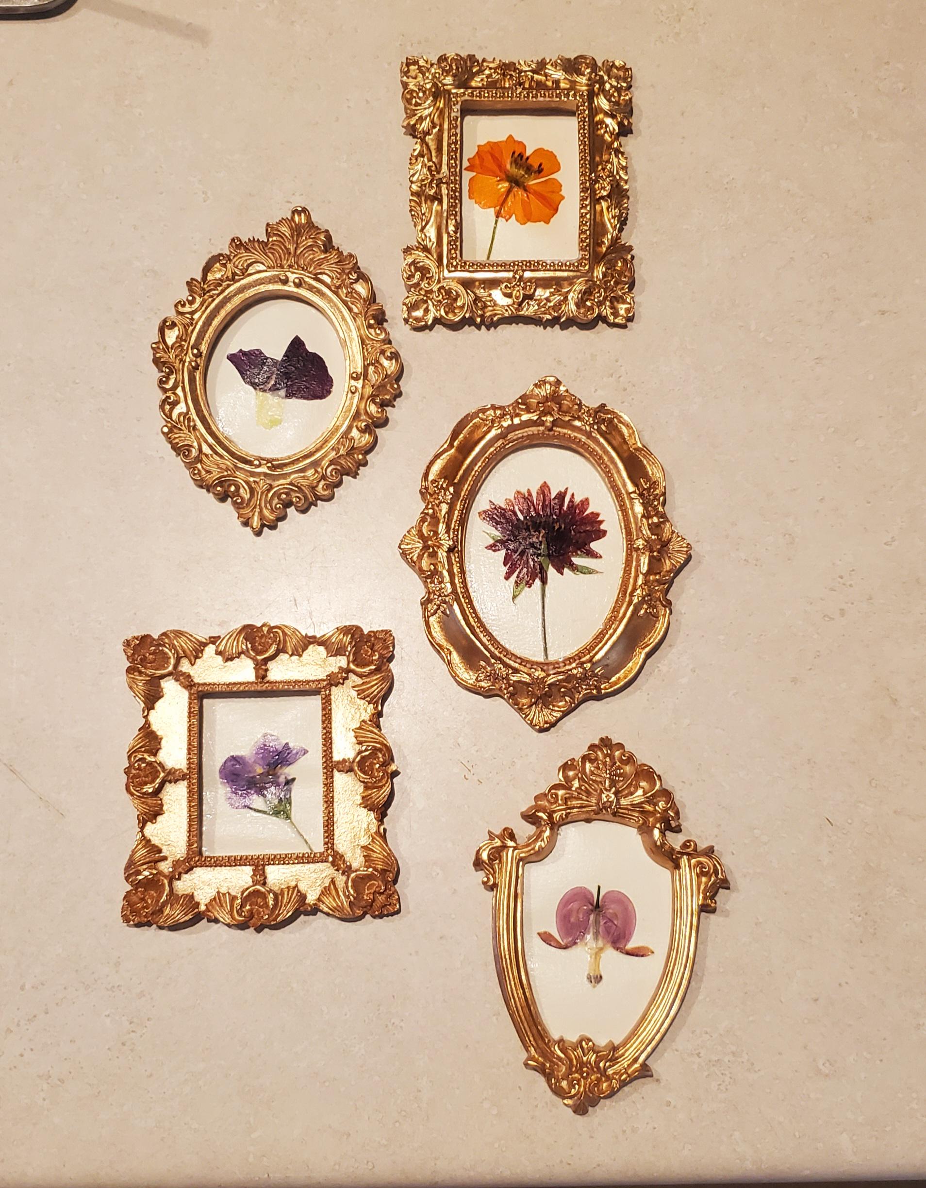 Set von 5 Mini Goldrahmen mit echten gepressten Blumen - Botanische Wandkunst im Vintage-Stil - Cottagecore Blumendekor