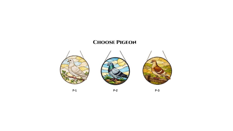 May include: Three stained glass roundels featuring pigeon designs. Each roundel has a different pigeon illustration, with varying colors and backgrounds. The text "CHOOSE PIGEON" is above the roundels.