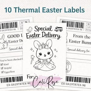 Peut inclure: Dix étiquettes thermiques de Pâques avec des illustrations de lapins et de poussins, et le texte "Special Easter Delivery". Les étiquettes incluent des codes-barres et les textes "Good Easter Delivery" et "From the Easter Bunny."