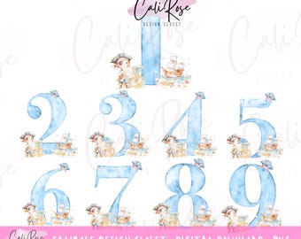 Pirate birthday age png digital downloads 1-9 ages sublimation png
