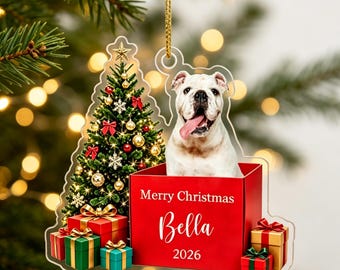 Personalized Pet Ornament Using Pet's Photo + Name,Christmas Dog Ornament,Custom Pet Portrait Hand Drawn Acrylic Ornament,Pet Memorial Gift