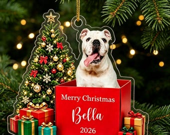 Custom Pet Ornament, Using Pet Photo Ornament, Cat Ornmant, Dog Ornament, Keepsake Gifts, Dog Mom Gifts, Christmas Gifts for Pet