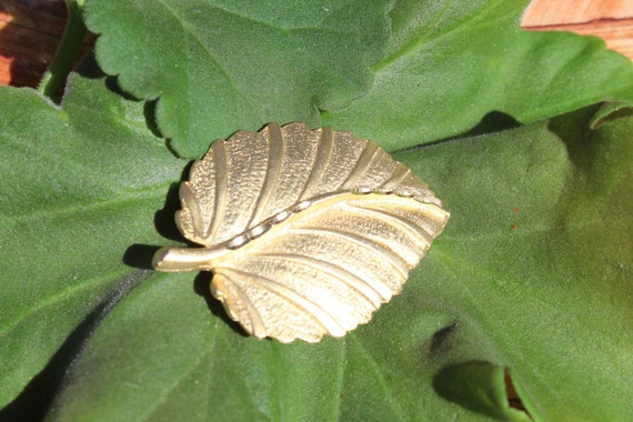 Vintage Leaf Brooch, Autumn Fall Golden Leaf Pin,… - image 3