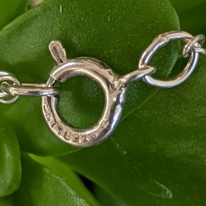 May include: Close-up of a silver clasp with the inscription "925 ITALY" on a necklace.