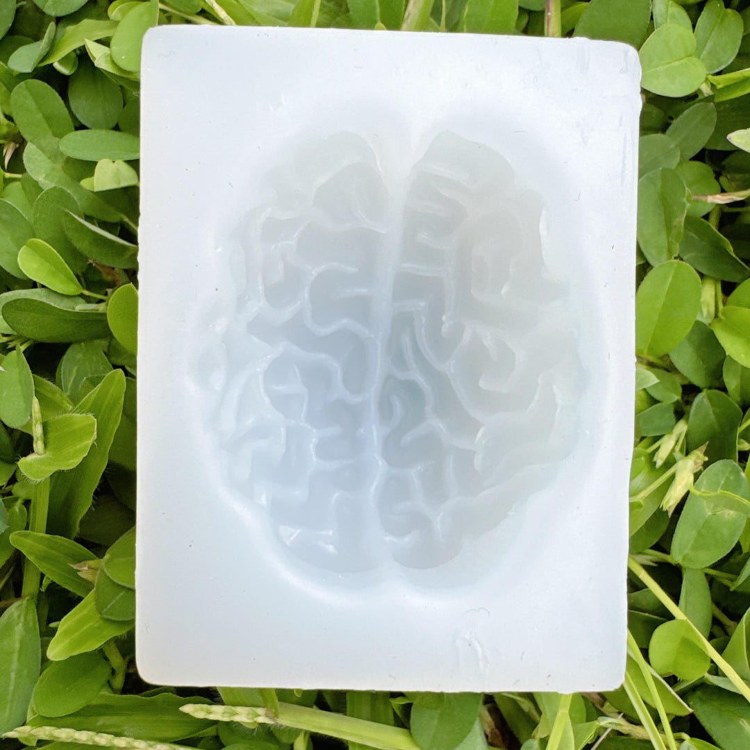 Simulation Organ Brain Silicone Mold Plaster Candle Mold Halloween ...