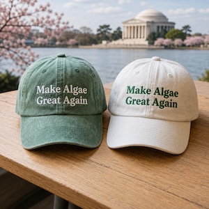 Könnte beinhalten: Zwei Baseballkappen, eine in gedämpftem Grün mit weißem Sticktext und eine in Off-White mit dunkelgrünem Sticktext. Beide Kappen tragen den Schriftzug "Make Algae Great Again", der mittig auf der Vorderseite über dem gebogenen Schirm platziert ist.