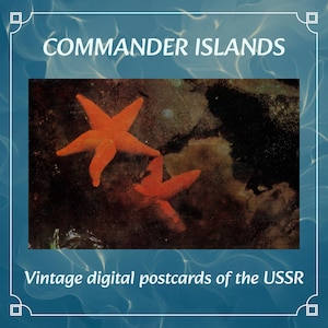 Postales digitales antiguas de la URSS: Islas del Comandante