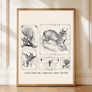 Puede incluir: Impresión artística enmarcada con ilustraciones en blanco y negro de un colibrí, una mariposa y un gato parecido a un lince. El texto "LOVING RAGE WILL DISMANTLE CRUEL SYSTEMS" está en la parte inferior. Tema botánico.