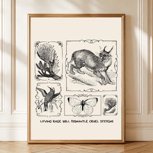 Puede incluir: Impresión artística enmarcada con ilustraciones en blanco y negro de un colibrí, una mariposa y un gato parecido a un lince. El texto "LOVING RAGE WILL DISMANTLE CRUEL SYSTEMS" está en la parte inferior. Estilo vintage.