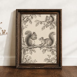 squirrel lovers gift Vintage  Wall Art, Black And White Botanical Illustration Digital Download