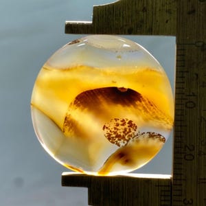 Cabochon d'agate du Montana de qualité supérieure, forme ronde, 27 x 27 x 6 agates brunes et noires naturelles, pierres fines du Montana, 33,28 carats