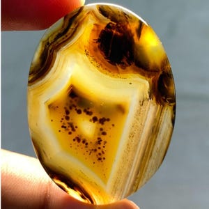 Cabochon de forme ovale en pierre naturelle d'agate du Montana 46 x 37 x 5 agate naturelle brun noir, pierre fine translucide, pierre précieuse du Montana en vrac de 59,30 carats