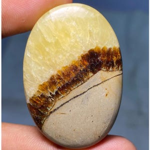 Cabochon poli fait à la main avec des pierres précieuses de septariennes jaunes à 100 %, pierre de septarienne naturelle en vrac pour la fabrication de bijoux. 69.90Cts 44x30x6 MM