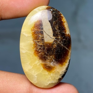 Cabochon de septarienne à bas prix, 100 % pierres gemmes de septarienne jaunes, pierre de septarienne polonaise faite à la main pour la fabrication de bijoux. 65,50 Cts 39x24x7 MM
