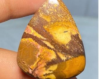 Cabujón de jaspe australiano con imagen del Outback (40,20 quilates)