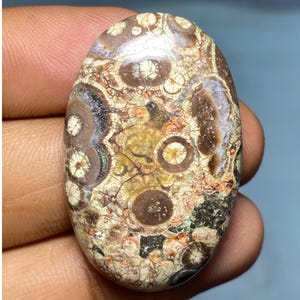 Jaspe olho de pássaro, jaspe natural, oval exclusivo de jaspe, jaspe AAA, cabochão de jaspe, pingente de jaspe para joias, pedra preciosa para joias, 48,35 cts