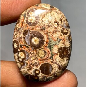 Cabochão de jaspe olho de pássaro com pedra preciosa solta oval, jaspe AAA, cabochão de jaspe, pingente de jaspe para joias, 58,55 cts