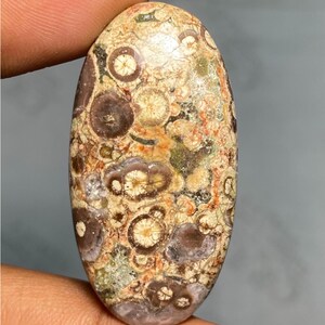 Cabochão de jaspe olho de pássaro com pedra preciosa solta oval, jaspe AAA, cabochão de jaspe, pingente de jaspe para joias, 56,35 cts