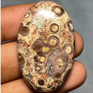 Jaspe oeil d'oiseau, jaspe naturel, jaspe ovale unique, jaspe AAA, cabochon de jaspe, jaspe pendentif bijoux pierre gemme pour bijoux 58 cts