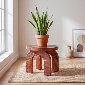 Op de afbeelding: Een ronde houten kruk met een donkerbruine afwerking en vier gebogen poten die een cirkelvormig blad ondersteunen. Een terracotta-kleurige pot met een groene sansevieria met geelgerande, zwaardvormige bladeren staat op de kruk.