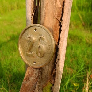 May include: A circular brass house number plaque featuring the embossed number 26. The plaque has two small screw holes at the top and bottom and is mounted onto a weathered, vertical wooden post with a rough, splintered texture and grain.