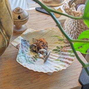Handmade Repurposed Sea Shell Trinket Dishes