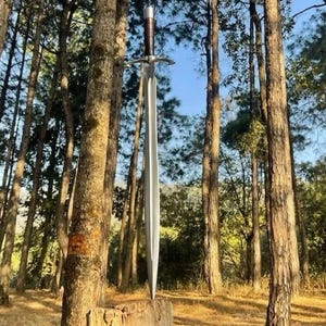 May include: A long, silver sword with a brown leather-wrapped handle is embedded in a tree stump. The sword's blade is sharp and reflective, with a crossguard. The background features a forest with tall trees and sunlight.