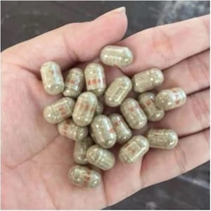 Kianpi Herbal Ginseng Capsules | Traditional Herbal Supplement