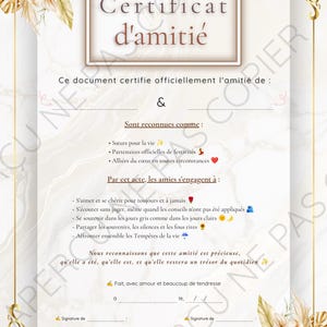 Printable Friendship Certificate – Best Friend Gift Poster, Sister of the Heart, Emotional Gift Idea, Digital Printable PDF
