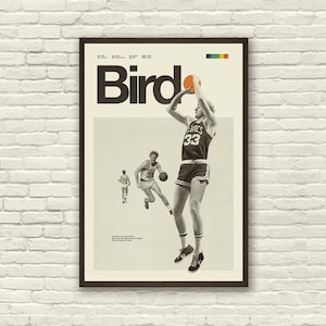 Larry Bird Dimensions & Drawings