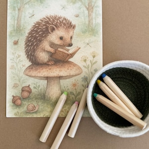 Puede incluir: Ilustración caprichosa de un erizo leyendo un libro sobre una seta. La obra de arte está acompañada de varios lápices de colores y una pequeña cesta tejida blanca y verde. La escena evoca una sensación de cuento de hadas.