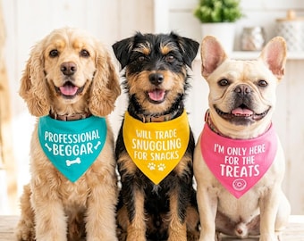 Custom Slogan Printed Bandana Quirky Fun Cheeky Bold Kerchief Expressive Creative Neckcloth Smooth Lightweight Breathable Durable Dogwear