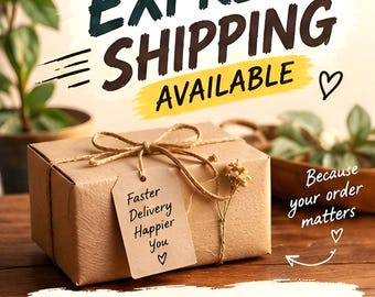 Express Shipping Available | Fast Delivery Service.