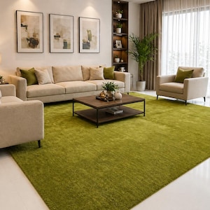 Olive Green Shag Rug | Soft Modern Ar...