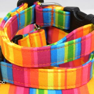 Dog Collar Colorful Bold Rich Stripes of Yellow Pink Blue Green Orange Rainbow Fun Dog Collar  Adjustable with D Ring Choose Size