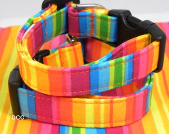 Dog Collar Colorful Bold Rich Stripes of Yellow Pink Blue Green Orange Rainbow Fun Dog Collar  Adjustable with D Ring Choose Size