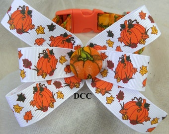 Dog Collar Pumpkins and Green Vines w Pumpkin Ribbon Bow Adjustable Collars D Ring Choose Size Pet Pets Everyday Accessory Halloween Fall