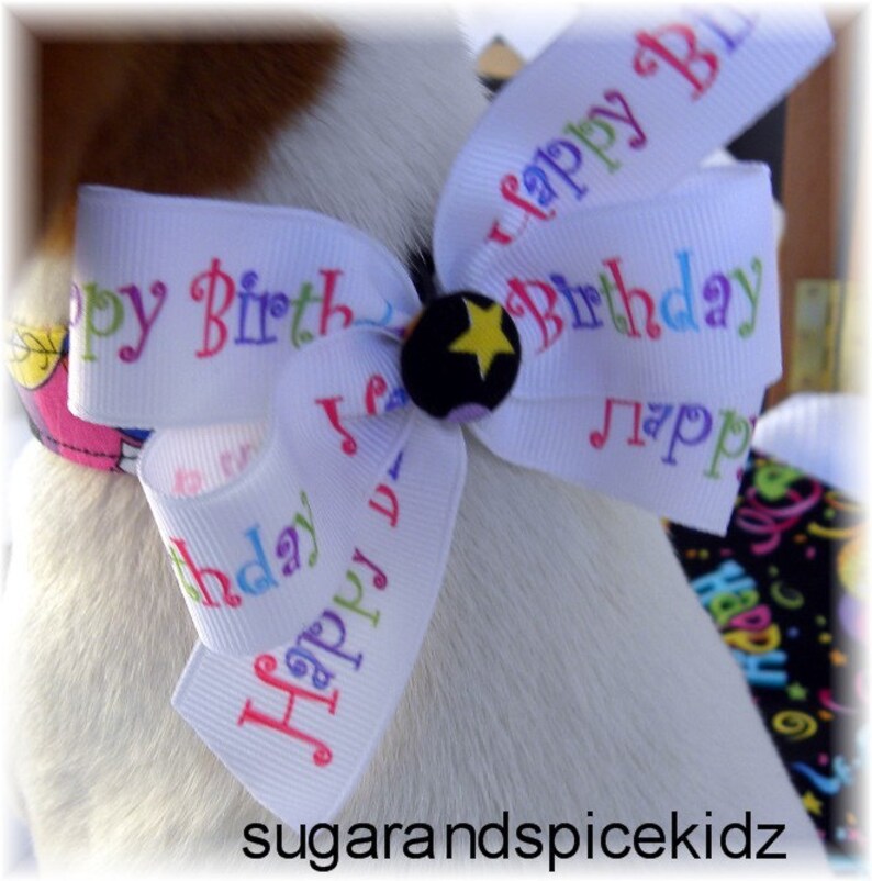 Dog Collar Happy Birthday Roxie Balloons Stars Swirls Etsy