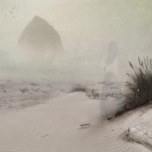 Die Reste der Zeit - 8 x 10 Landscape Foggy Beach Seascape - Limited Edition Print by My Antarctica