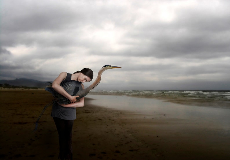 Theory of Flight 8 x 10 Limited Edition Print Woman and Blue Heron Figurative Storm over Ocean Landscape Velvet Fine Art Paper image 1