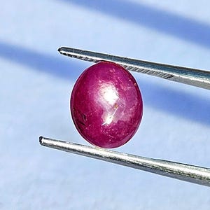 May include: A polished, oval ruby gemstone, held by silver tweezers against a light blue backdrop. The ruby is a deep red colour with a smooth, reflective surface. The tweezers are positioned to display the gemstone.